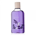 Thymes – Lavender - Body Wash